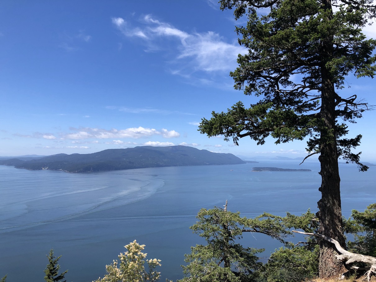 Lummi Island and The Willows Inn in Washington - Peter Kang